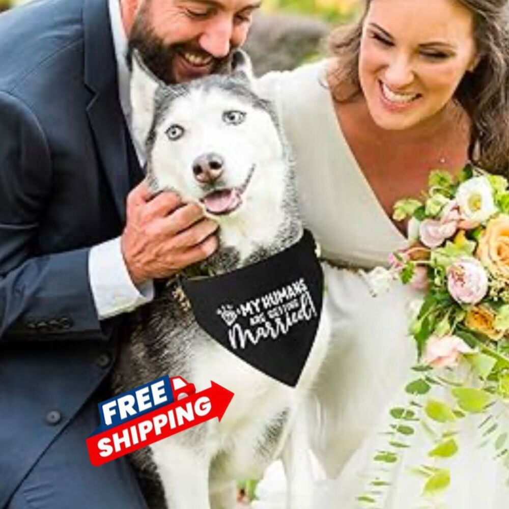Dog Bandana My Humans Are Getting Married Wedding Engagement Black White LRG NWT